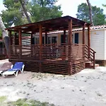 Camp 2*