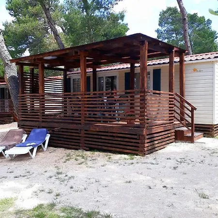 Camp 2*