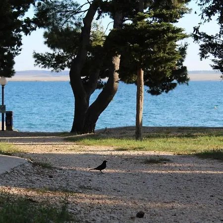 Parque de vacaciones Camp