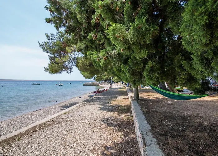 Tatil parkı Camp Šibuljina