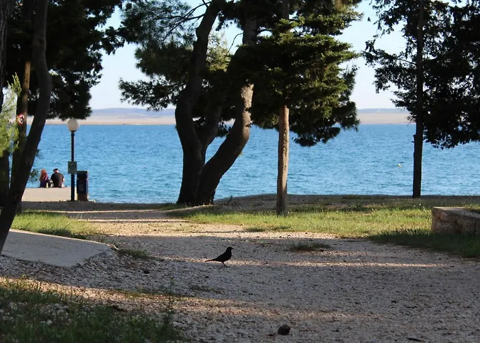 Tatil parkı Camp
